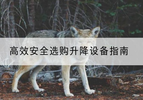 湖滨升降货梯厂家推荐-*安全选购升降设备指南