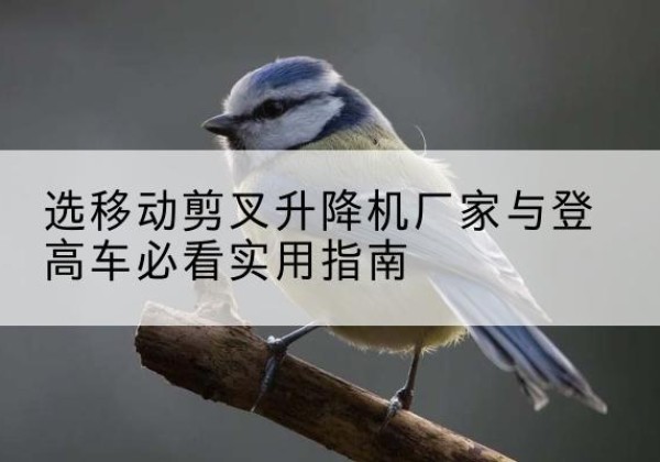 湖滨电动升降机厂家-选移动剪叉升降机厂家与登高车必看实用指南