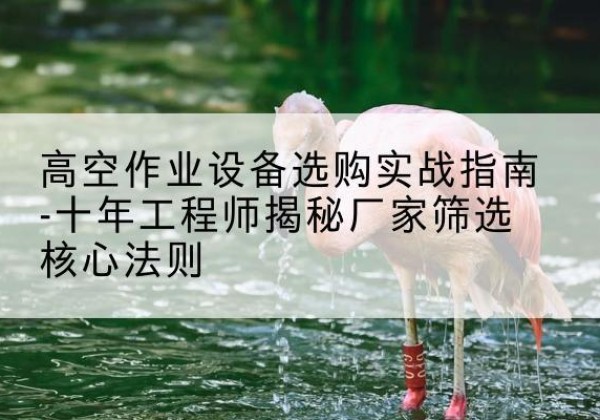 湖滨剪叉式升降机厂家-高空作业设备选购实战指南-十年工程师揭秘厂家筛选核心法则