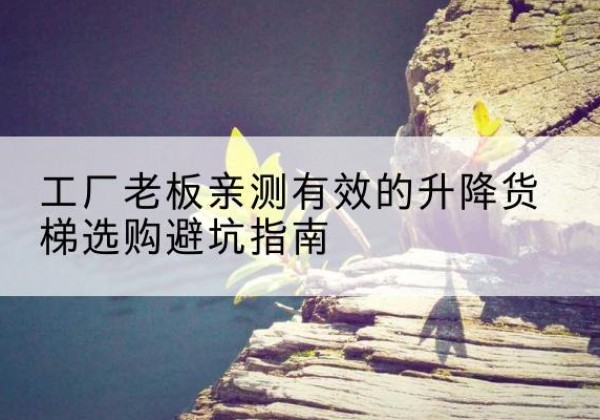 湖滨升降货梯怎么选-工厂老板亲测有效的升降货梯选购避坑指南